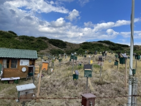 Langeoog_09