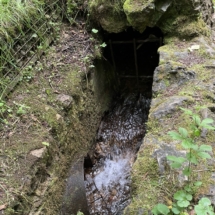 Nettersheim - Aufschluss am Bahndamm