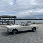 Mustang am Blausteinsee