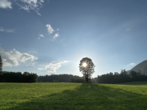 Schöner Sonnenuntergang